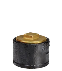 CLEANOUT FERRULE WITH PLUG